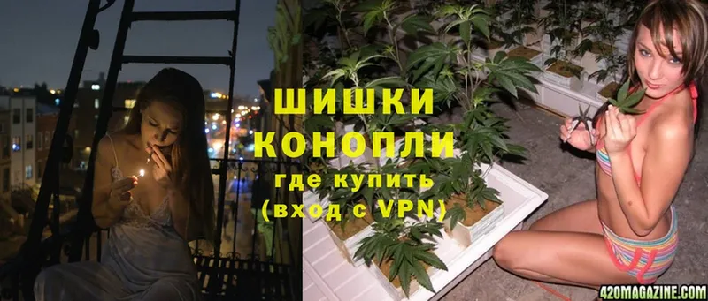 Конопля индика  Краснообск 